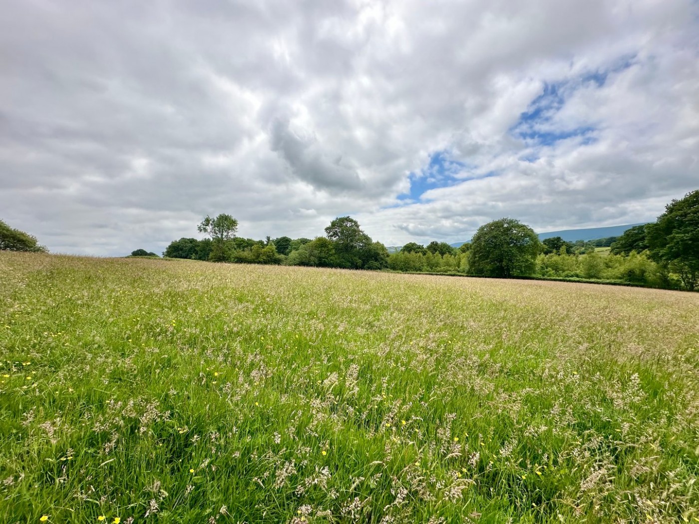 Images for Newton St Margarets, Hereford EAID:3282071433 BID:713703