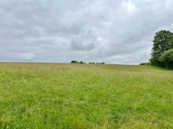 Images for Newton St Margarets, Hereford