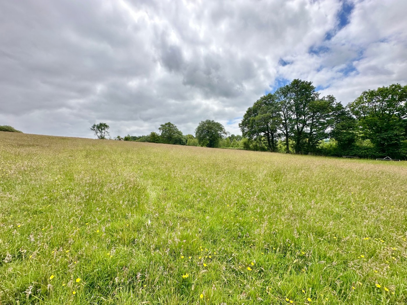 Images for Newton St Margarets, Hereford EAID:3282071433 BID:713703