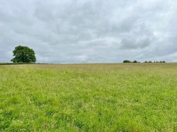 Images for Newton St Margarets, Hereford