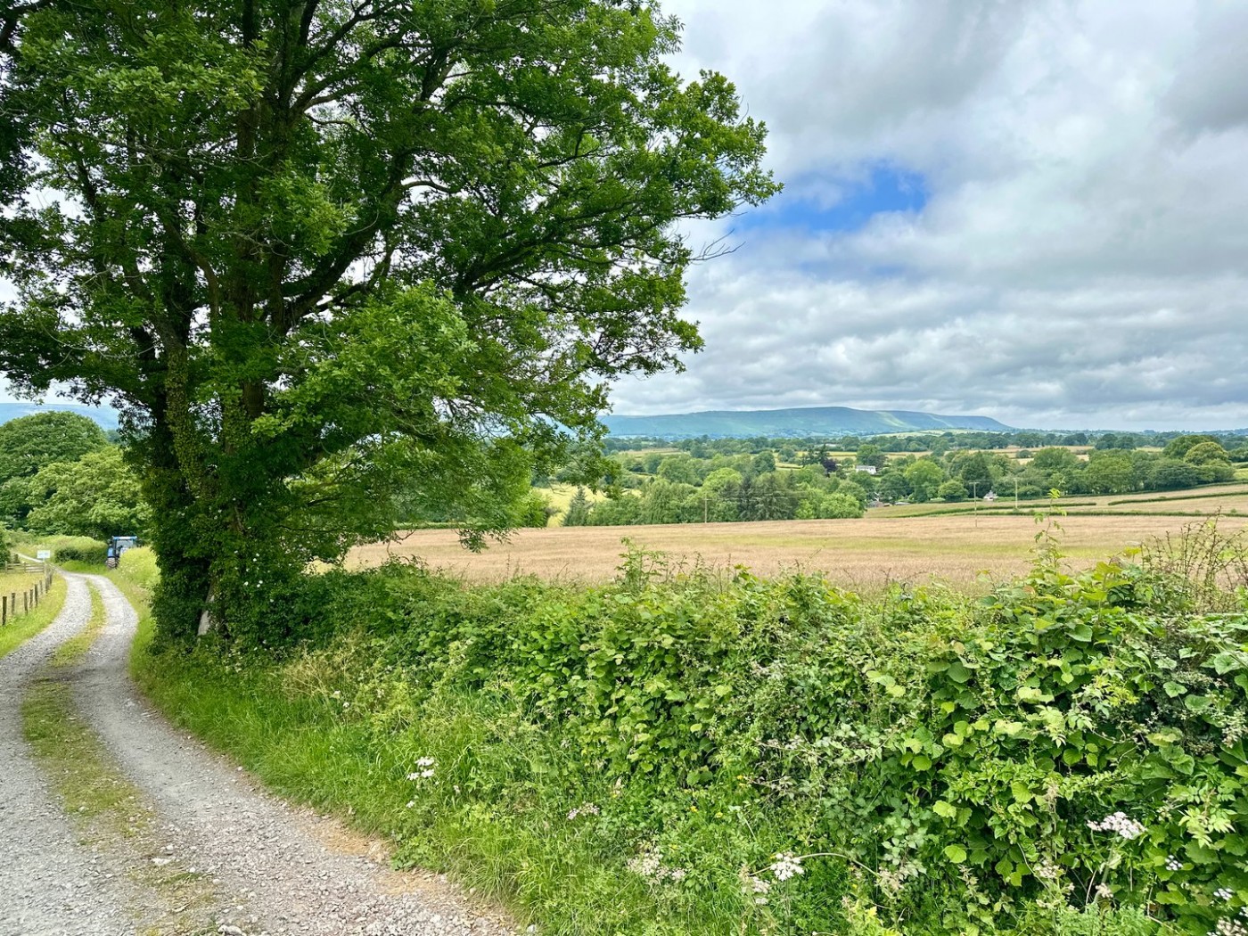 Images for Newton St Margarets, Hereford EAID:3282071433 BID:713703